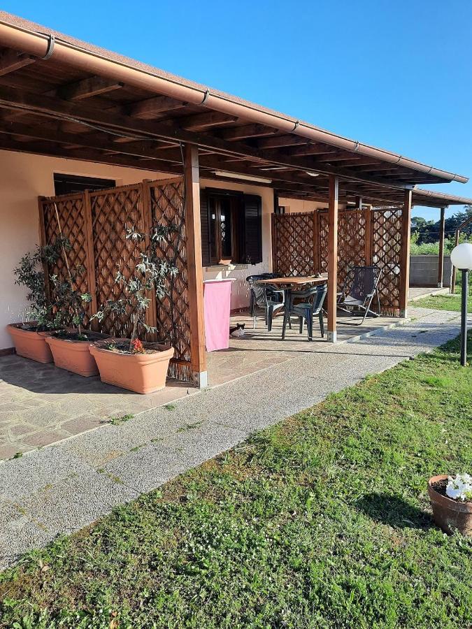 Agriturismo Ferri Bibbona Exterior foto