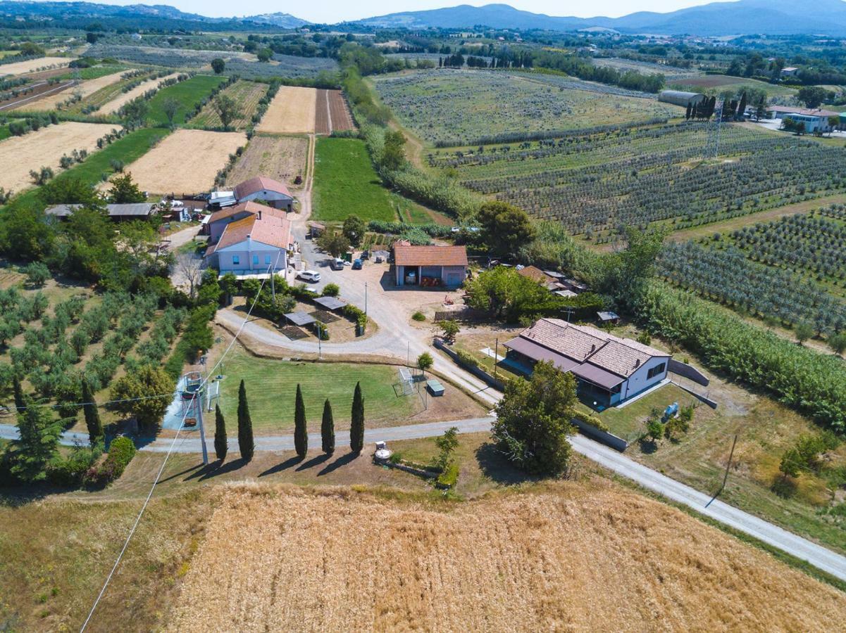Agriturismo Ferri Bibbona Exterior foto
